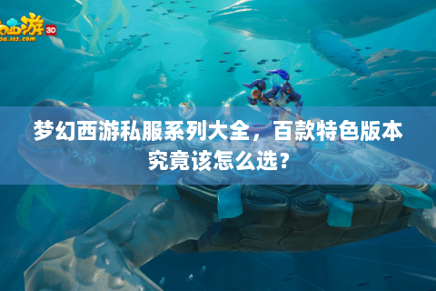 梦幻西游私服系列大全，百款特色版本究竟该怎么选？