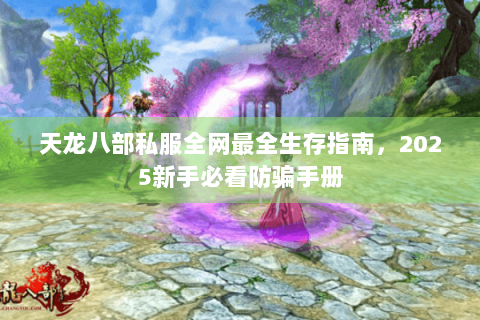 天龙八部私服全网最全生存指南，2025新手必看防骗手册
