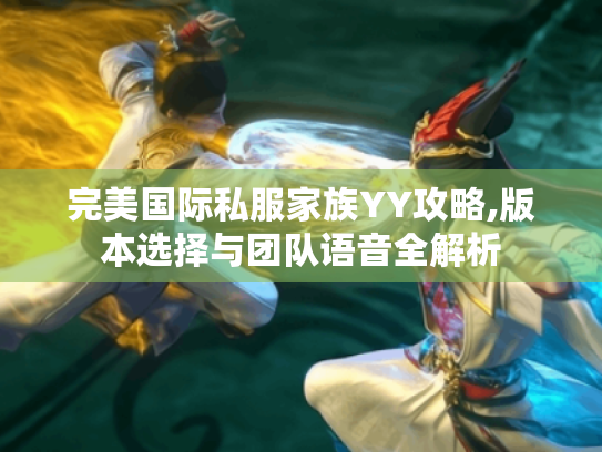 完美国际私服家族YY攻略,版本选择与团队语音全解析