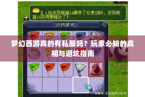 梦幻西游真的有私服吗？玩家必知的真相与避坑指南