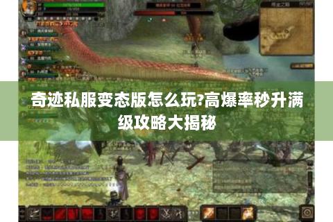 奇迹私服变态版怎么玩?高爆率秒升满级攻略大揭秘