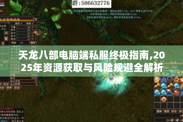 天龙八部电脑端私服终极指南,2025年资源获取与风险规避全解析