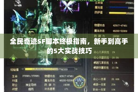 全民奇迹SF脚本终极指南，新手到高手的5大实战技巧