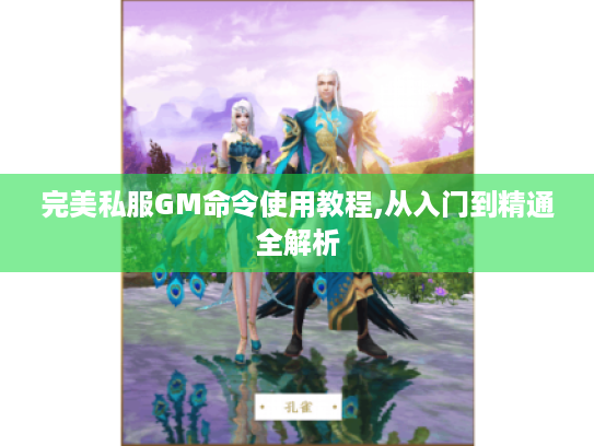 完美私服GM命令使用教程,从入门到精通全解析