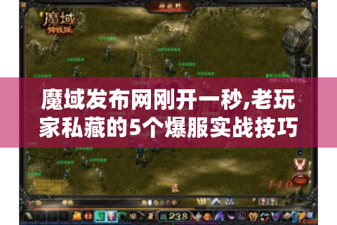 魔域发布网刚开一秒,老玩家私藏的5个爆服实战技巧