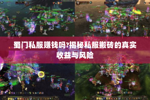 蜀门私服赚钱吗?揭秘私服搬砖的真实收益与风险