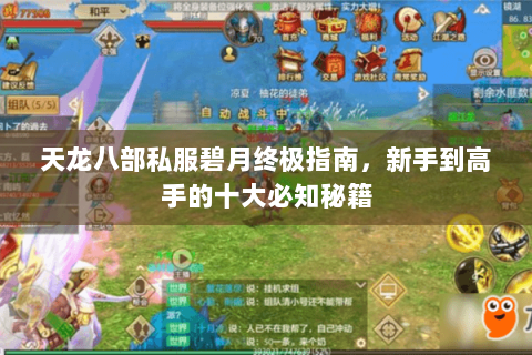 天龙八部私服碧月终极指南，新手到高手的十大必知秘籍