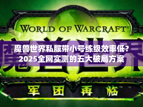 魔兽世界私服带小号练级效率低？2025全网实测的五大破局方案