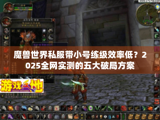魔兽世界私服带小号练级效率低？2025全网实测的五大破局方案