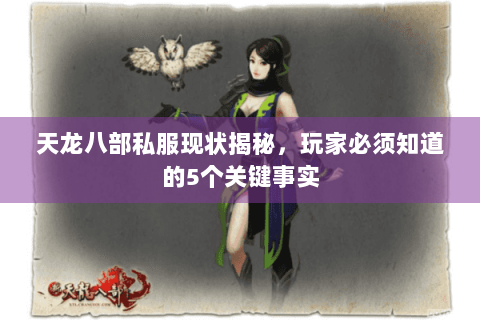 天龙八部私服现状揭秘，玩家必须知道的5个关键事实