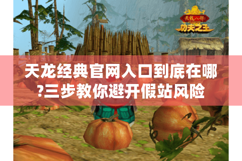 天龙经典官网入口到底在哪?三步教你避开假站风险
