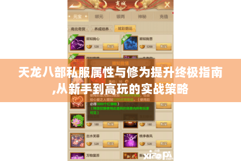 天龙八部私服属性与修为提升终极指南,从新手到高玩的实战策略