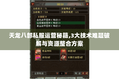 天龙八部私服运营秘籍,3大技术难题破解与资源整合方案