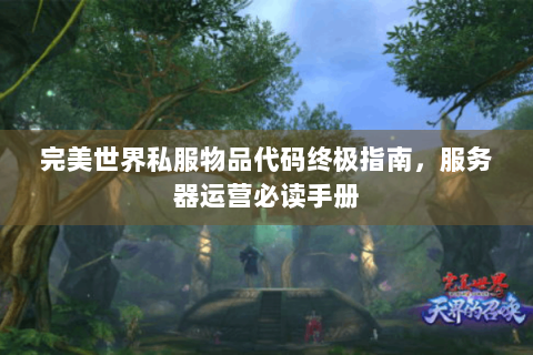 完美世界私服物品代码终极指南，服务器运营必读手册