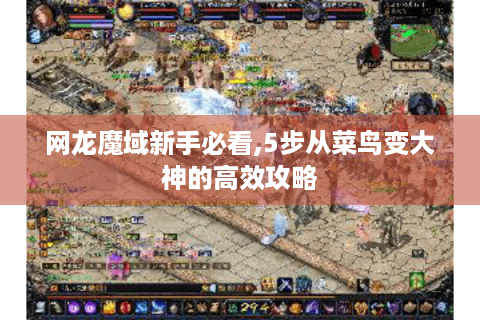 网龙魔域新手必看,5步从菜鸟变大神的高效攻略