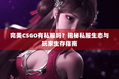 完美CSGO有私服吗？揭秘私服生态与玩家生存指南