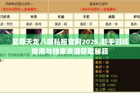 至尊天龙八部私服官网2025,新手避坑指南与独家资源获取秘籍