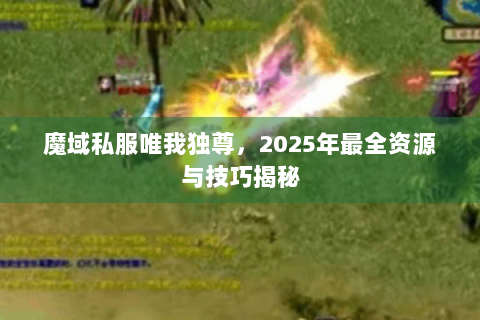 魔域私服唯我独尊，2025年最全资源与技巧揭秘
