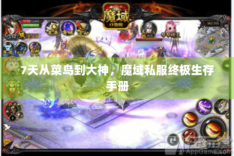 7天从菜鸟到大神，魔域私服终极生存手册