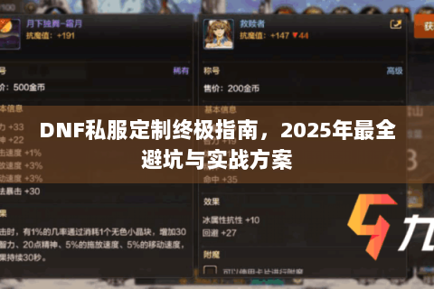 DNF私服定制终极指南，2025年最全避坑与实战方案