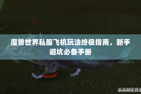 魔兽世界私服飞机玩法终极指南，新手避坑必备手册