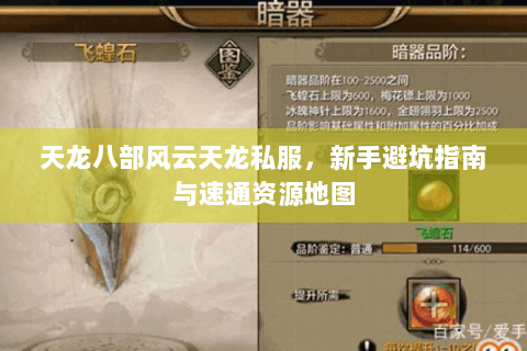 天龙八部风云天龙私服，新手避坑指南与速通资源地图
