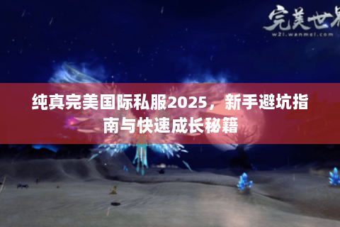 纯真完美国际私服2025，新手避坑指南与快速成长秘籍