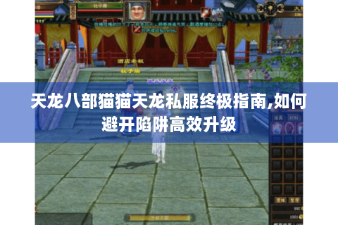天龙八部猫猫天龙私服终极指南,如何避开陷阱高效升级