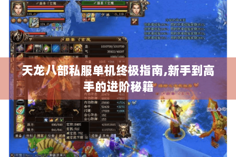 天龙八部私服单机终极指南,新手到高手的进阶秘籍