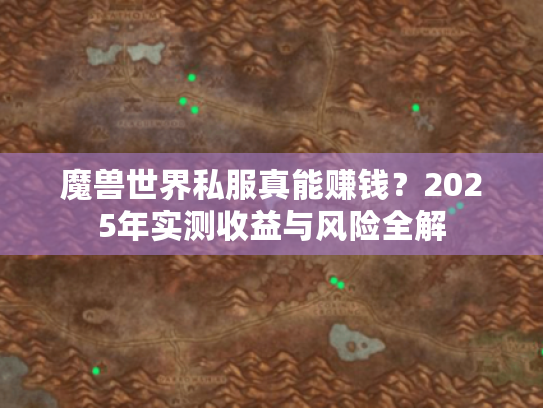 魔兽世界私服真能赚钱？2025年实测收益与风险全解