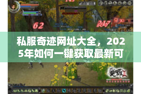 私服奇迹网址大全，2025年如何一键获取最新可靠私服入口？