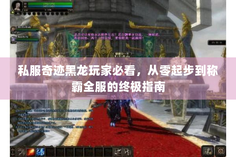 私服奇迹黑龙玩家必看，从零起步到称霸全服的终极指南