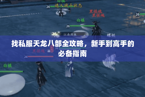 找私服天龙八部全攻略，新手到高手的必备指南