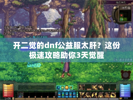 开二觉的dnf公益服太肝？这份极速攻略助你3天觉醒