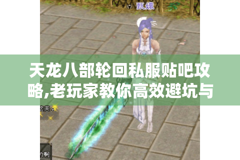 天龙八部轮回私服贴吧攻略,老玩家教你高效避坑与资源挖掘