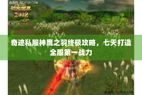 奇迹私服神鹰之羽终极攻略，七天打造全服第一战力