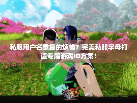 私服用户名重复的烦恼？完美私服字母打造专属游戏ID方案！