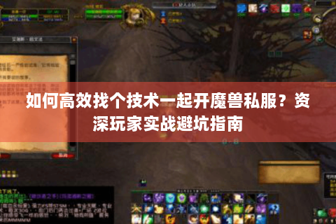 如何高效找个技术一起开魔兽私服？资深玩家实战避坑指南
