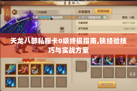 天龙八部私服卡0级终极指南,锁经验技巧与实战方案