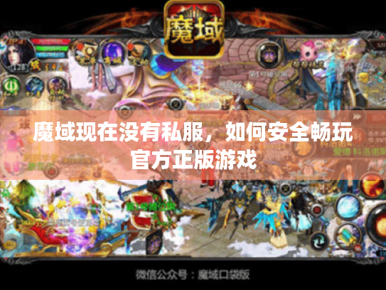 魔域现在没有私服，如何安全畅玩官方正版游戏