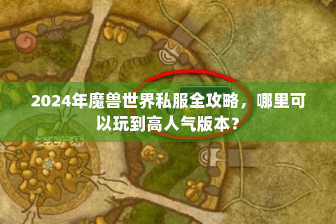 2024年魔兽世界私服全攻略，哪里可以玩到高人气版本？