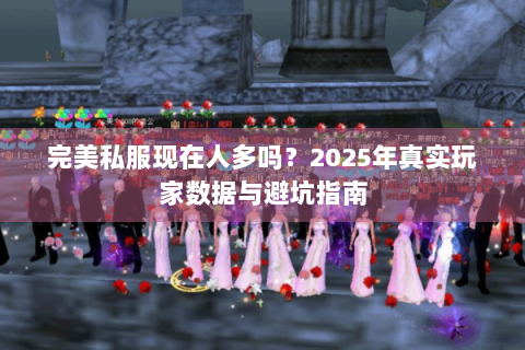 完美私服现在人多吗？2025年真实玩家数据与避坑指南