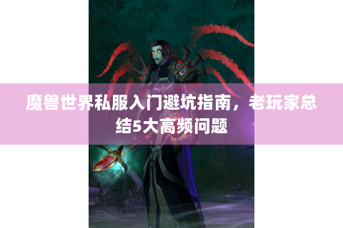 魔兽世界私服入门避坑指南，老玩家总结5大高频问题