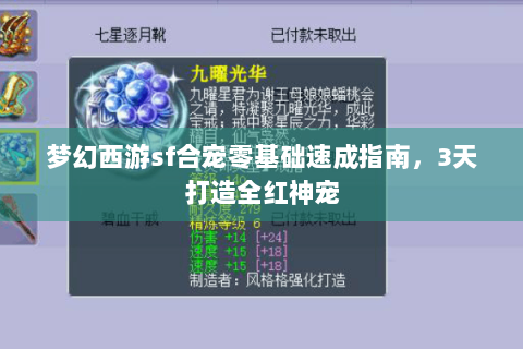 梦幻西游sf合宠零基础速成指南，3天打造全红神宠