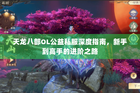 天龙八部OL公益私服深度指南，新手到高手的进阶之路