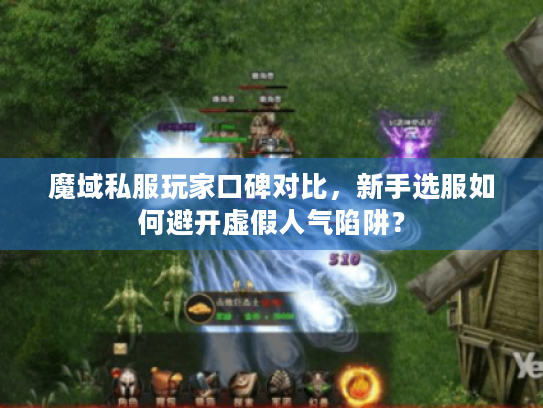魔域私服玩家口碑对比，新手选服如何避开虚假人气陷阱？