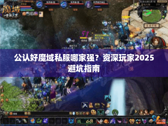 公认好魔域私服哪家强？资深玩家2025避坑指南