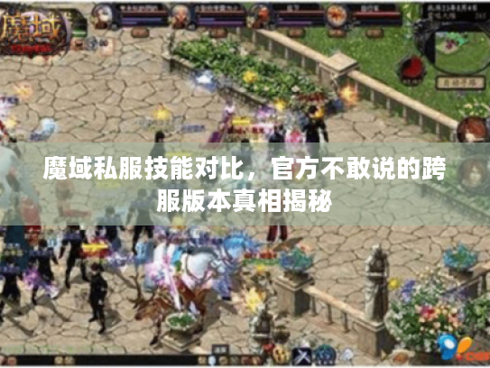 魔域私服技能对比，官方不敢说的跨服版本真相揭秘