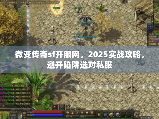 微变传奇sf开服网，2025实战攻略，避开陷阱选对私服