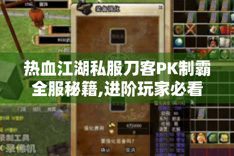 热血江湖私服刀客PK制霸全服秘籍,进阶玩家必看实战指南